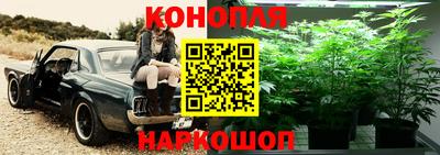 мяу мяу мука Волжский