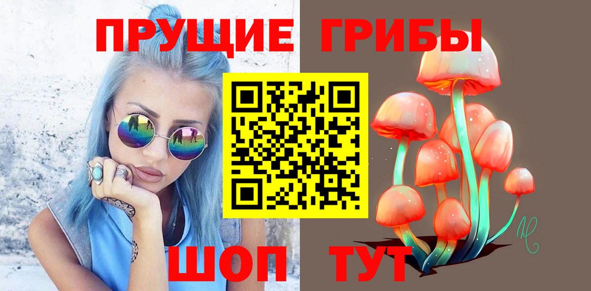 Псилоцибиновые грибы мухоморы  Галлюциногенные грибы Psilocybine cubensis  Ессентуки  купить закладку  Вход с VPN 